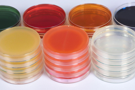 Unlocking the Potential of Nutrient Agar Medium for Microbiological Testing