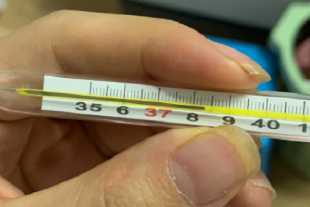 Rapid Antigen Combo Test: COVID-19, Flu A/B, and RSV