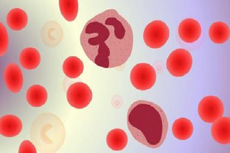BABIO Salmonella Shigella Transport Medium for Labs