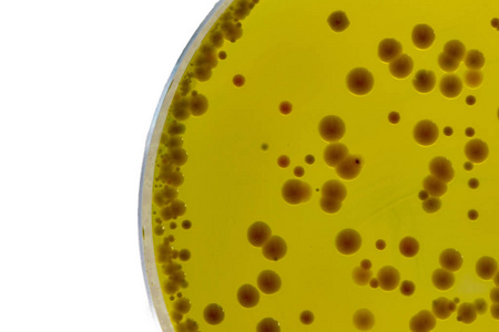 BABIO Mueller-Hinton Broth Supports Reliable Antimicrobial Susceptibility Testing