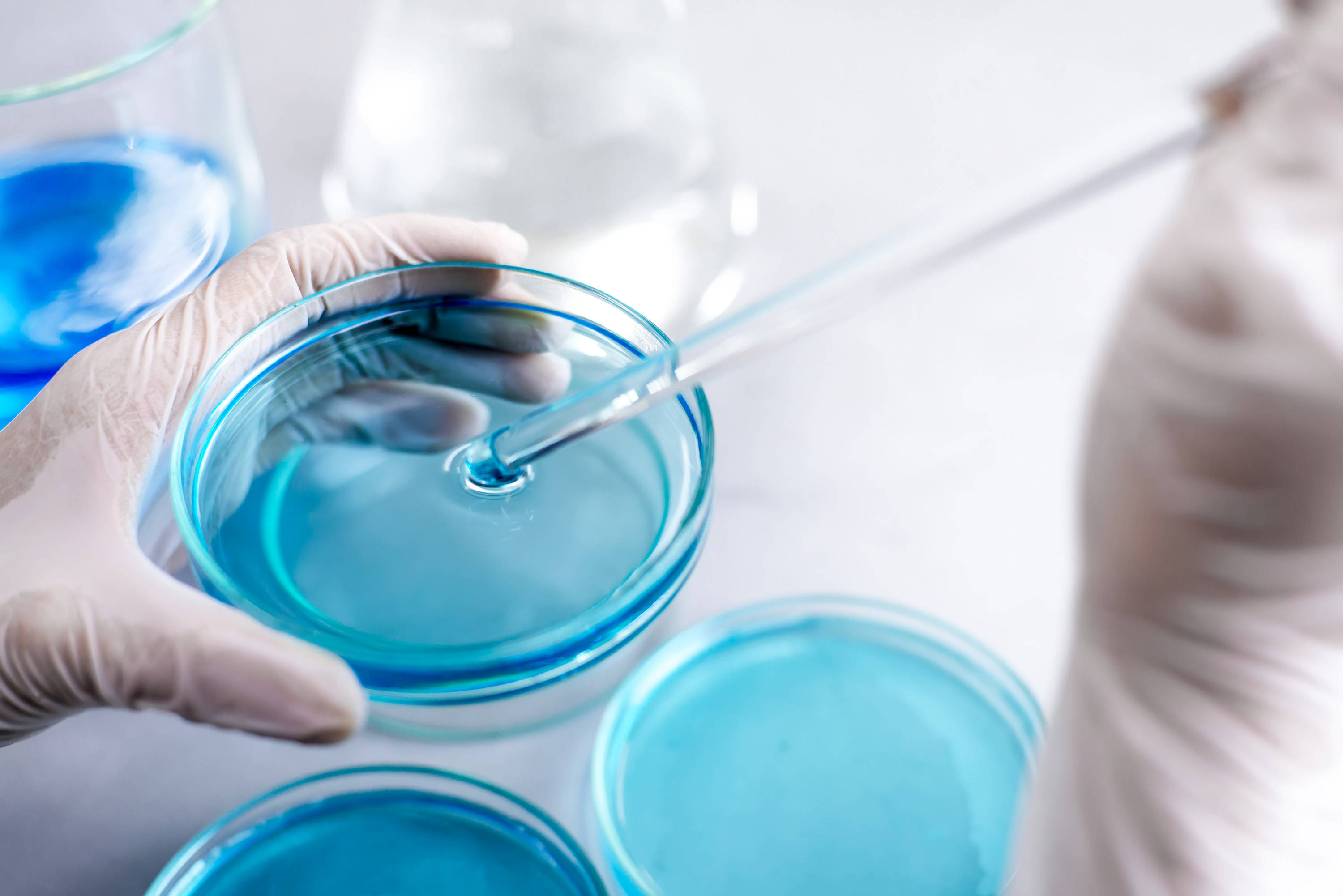 BABIO Buffered Peptone Water Supports Reliable Food Pathogen Pre-Enrichment