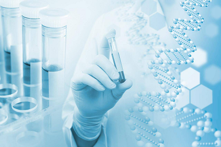 H. pylori IgG/IgM Test Kit: Rapid Antibody Screening Solution